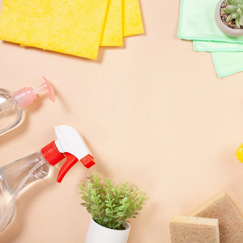 Eco Friendly House Cleaning Products